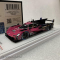 Cadillac V-Series.R No.01 Cadillac Racing 2024 IMSA Petit Le Mans Winner