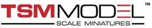 TSM logo